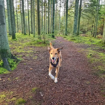 Σπίτι διακοπών Tranquil Retreat In Rabjerg - By Traum *