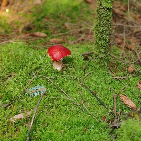 Nyaraló Tranquil Retreat In Rabjerg - By Traum Ålbæk